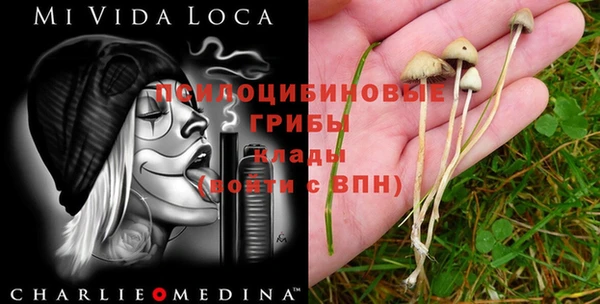 твердый Волоколамск