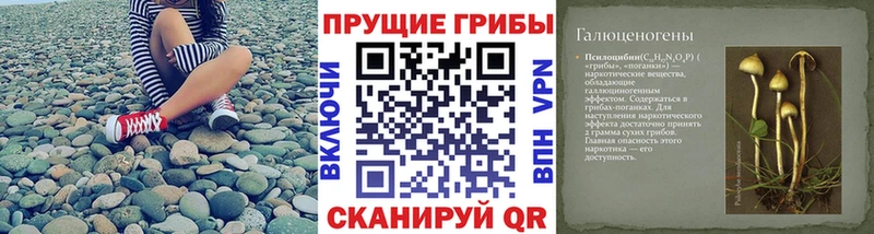 Псилоцибиновые грибы ЛСД  закладка  Кемерово 